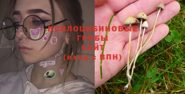 таблы Заводоуковск