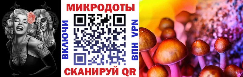 Купить где  Долинск  Галлюциногенные грибы Cubensis 